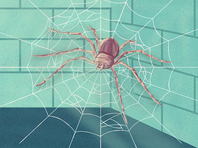 Home Sweet Home art branding colors comics corners design dribbble illustration india marvel share spider spider web spiderman vector