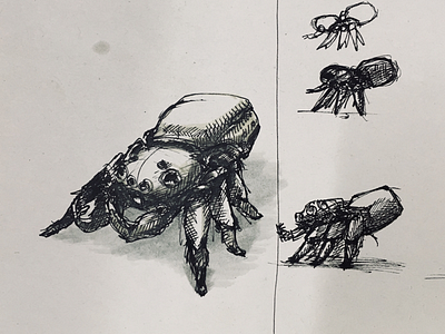Spider sketch