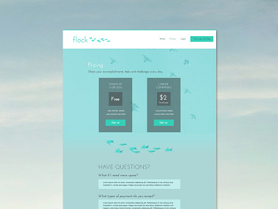 Pricing Page for Flock birds flock marketing plans pricing sky