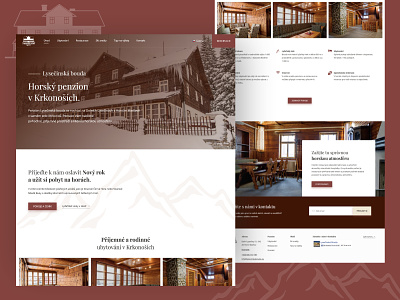 Chalet hotel accommodation chalet hotel moutains web design webdesign