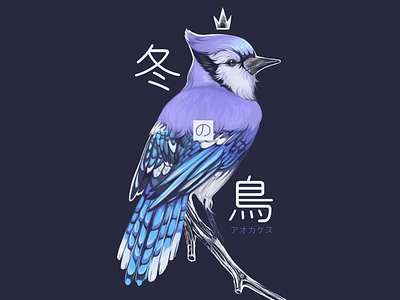 Bluejay - 冬の鳥 bird blue bluejay digital draw drawing feather fuyu illustration nature sketch sketching winter