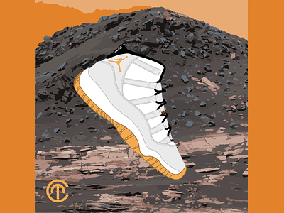 MARS MISSION J11 concept digitize fashion illustration jordan mars shoes simplification vector