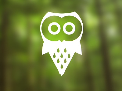Owl bird brand design forrest icon illustration logo logotype owl