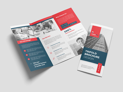 Trifold Brochure