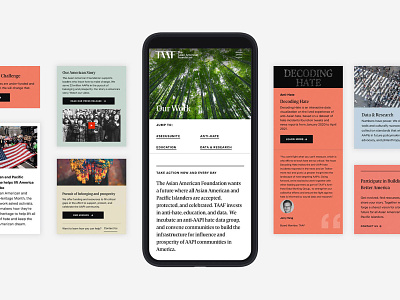 TAAF Website Redesign design device graphic design mobile modular non profit ui ux website design