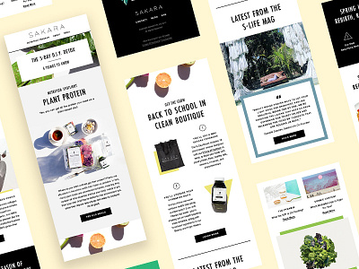 Sakara Life Email Templates design email modular style guide template theme type