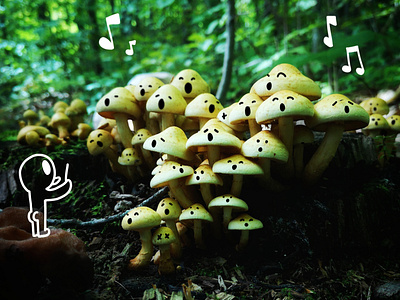 Forest Orchestra