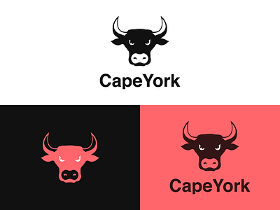 Cape York Logo Design