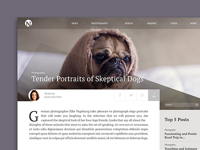 Blog Design - sample post blog ui ux web design