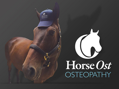 Horse Ost Equine Osteopathy brand clothing design digital logo print