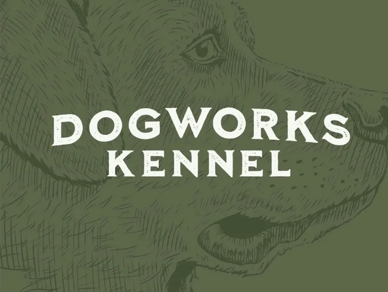 Creative Branding Ideas for Your Kennel Website