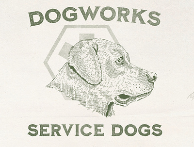 Dogworks Service Dogs pt 2 brand identity branding dog dog logo dogkennel doglogo dogs greenlogo orvis servicedog servicedoglogo texturedlogo vintagelogo