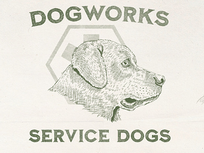 Dogworks Service Dogs pt 2