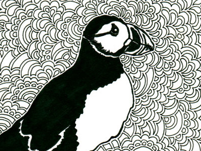 Puffin Drawing Meditation animals art black drawing iceland illustration ink pen puffin travel white