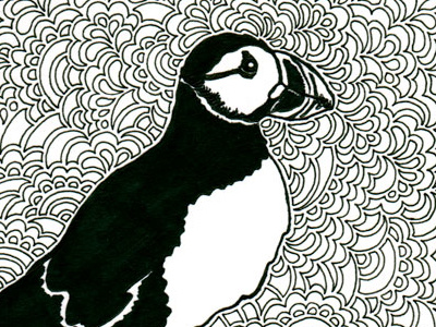 Puffin Drawing Meditation