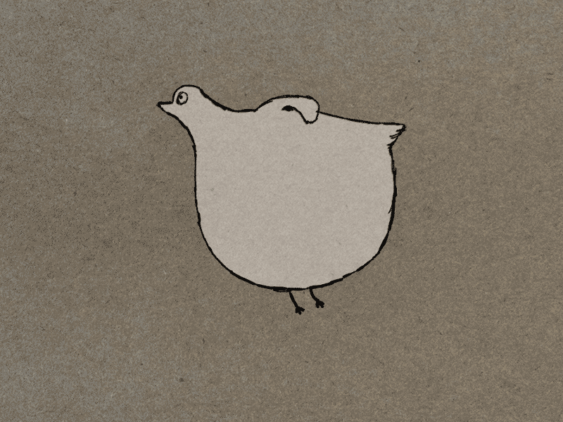 12framesaday Fatpigeon 12framesaday 2d 2danimation animation animation2d bird characteranimation framebyframe handdrawn pigeon