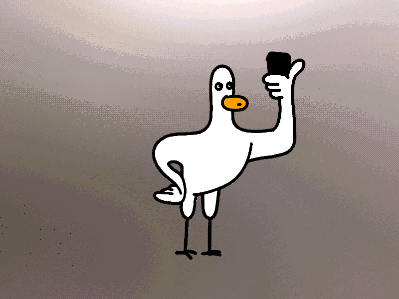 12framesaday Selfie Seagull 12framesaday 2d 2danimation animation animation2d characteranimation framebyframe handdrawn