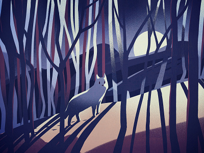 Wolf dawn forest illustration light nature wolf woods