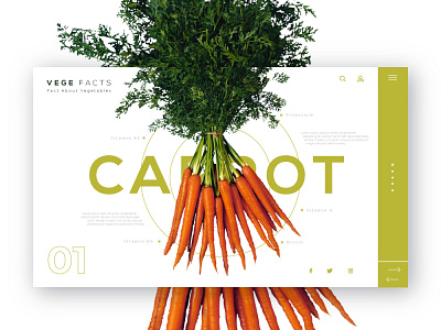 VEGE Facts UI Design