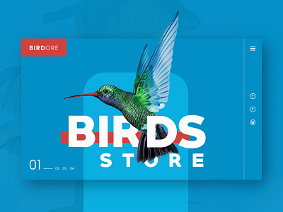 Bird Store UI design illustration landing page design typography ui ui design ux web design