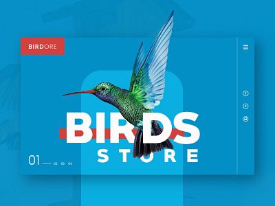 Bird Store UI