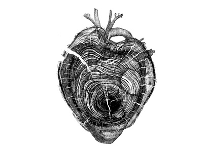 Wooden Heart design drawing fineliner hand drawn heart illustraion ink print wood