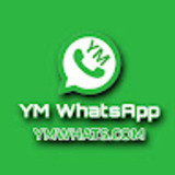 YM WhatsApp
