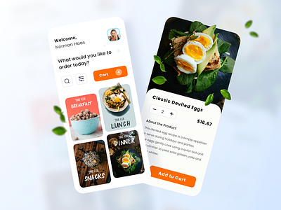 Food app main and product detail screen