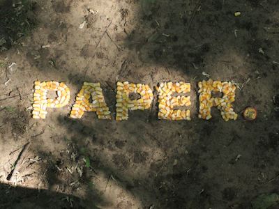 Paper, plastic, or produce. corn type typography