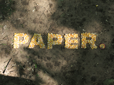 Paper, plastic, or produce.