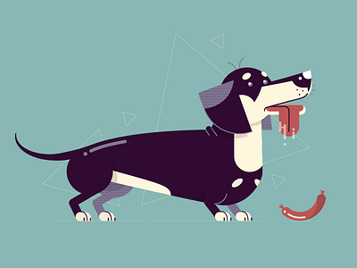 Flat Dogs: #01 - Dachshund dachshund dog doggo sausage