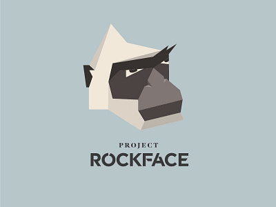 Project Rockface branding graphic design identity design
