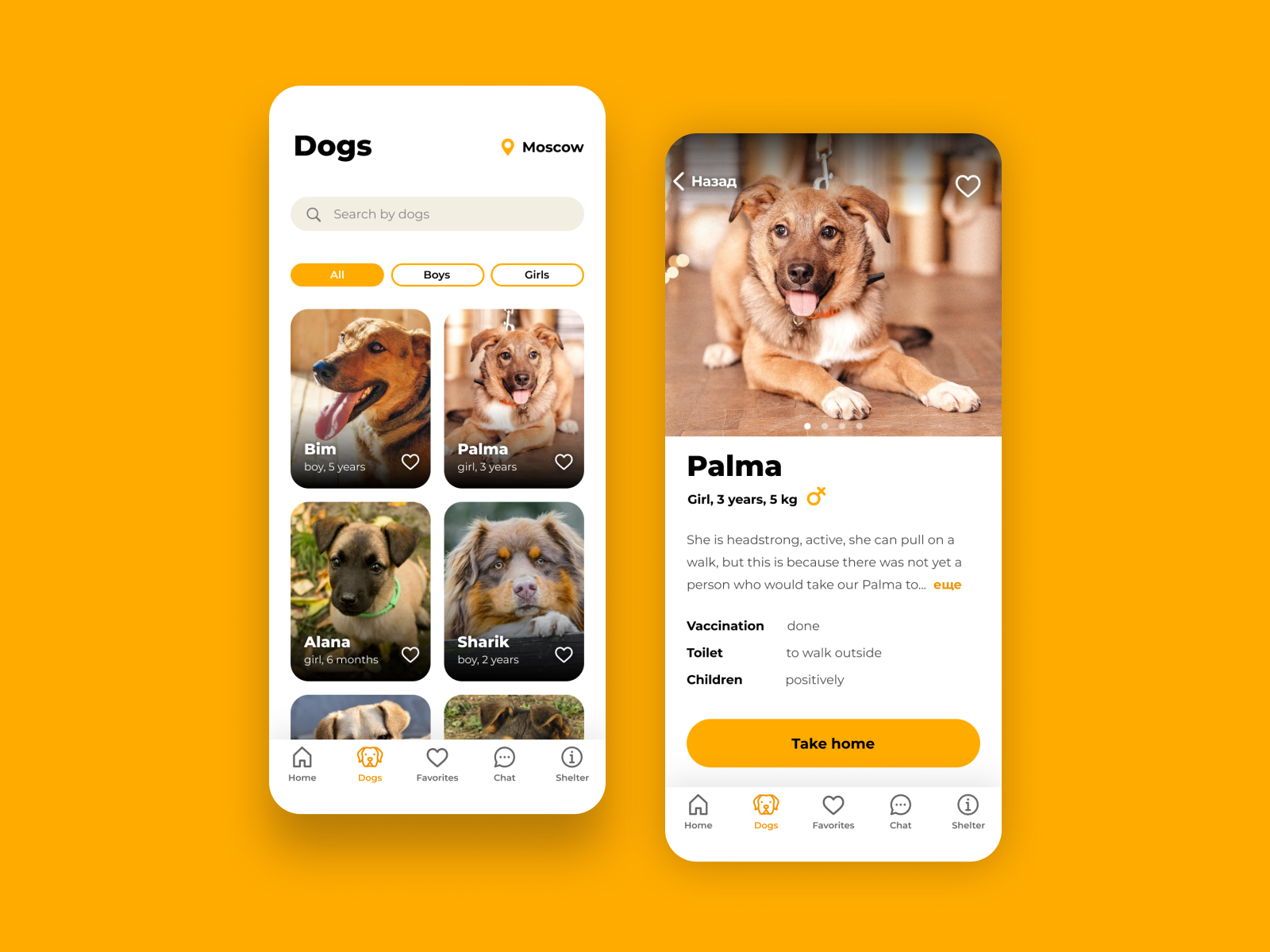 Shelter for stray dogs App by Yuliya Nikitanova on Dribbble