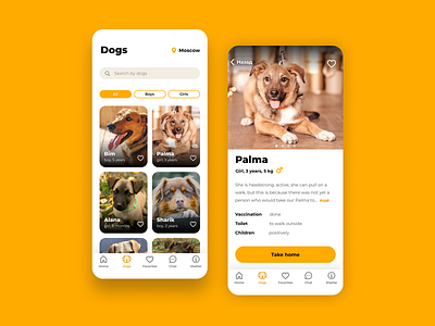 Shelter for stray dogs App animals app dog dogs ui ux