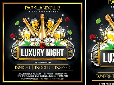 Luxury Night bar black city club dance dark day disco dj drink drinks flyer gold happy happy time luxury luxury night model music night