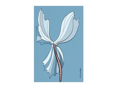 Blue Flower Botanical Drawing blue botanical digitalart flower lineart linedrawing procreate