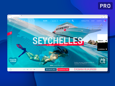 Remi Rosinski UI UX Website Travel