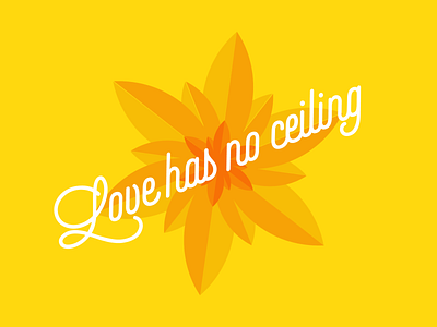 Love Has No Ceiling