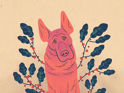 What's Wrong, Dog? dog drawing illustration pink plants procreate texture