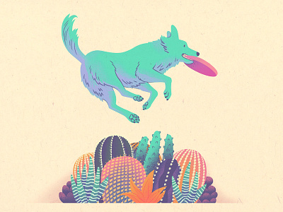 Catch! cactus colorful dog drawing frisbee illustration jump plants