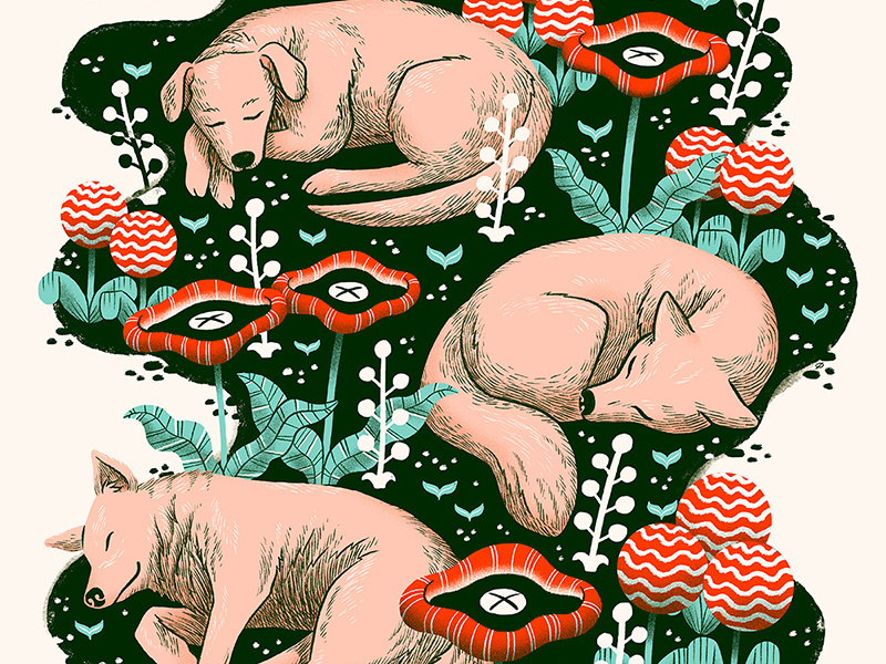 moe. Show Poster gig poster green red plants dogs illustration screenprint show poster