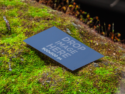 Business Card Mockup on Moss ad mockups advertising templates business card mockup photorealistic print ads print mockups urban advertising