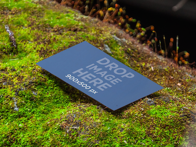 Business Card Mockup on Moss