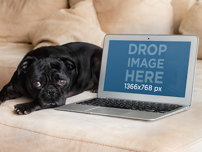 Mockup of Macbook Air Next to a Cute Dog Over a Couch app marketing apple devices appstore graphic design ios apps iphone 6 iphone mockups macbook macbook mockups startup marketing startups