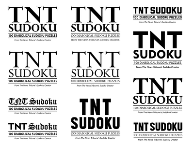 TNT Sudoku typography explorations book newspaper sudoku title typography