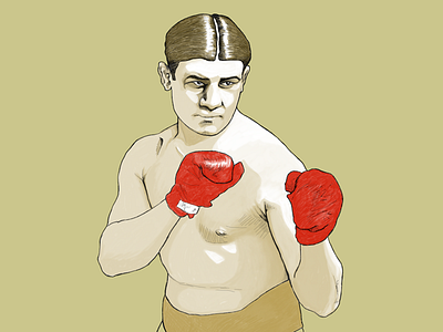 The boxer illustration