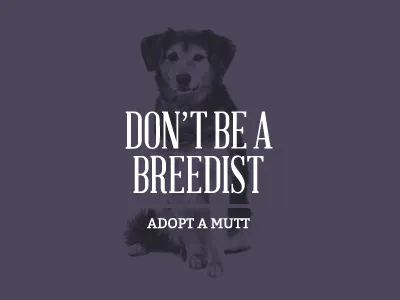 Adopt a Mutt (don't be a breedist) abraham lincoln bitter charity dog homeless lost type co op monochromatic mutt non profit purple typography