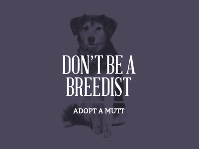 Adopt a Mutt (don't be a breedist) abraham lincoln bitter charity dog homeless lost type co op monochromatic mutt non profit purple typography