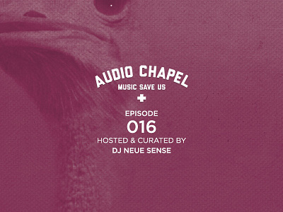 Audio Chapel Episode 016 audio chapel compilation indepedent music ostrich