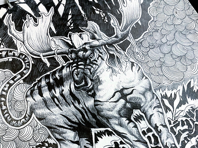 Tiger Moose illustration ink nature pen pencil